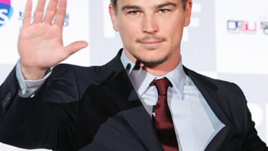 josh hartnett net worth