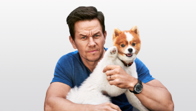 buddy wahlberg