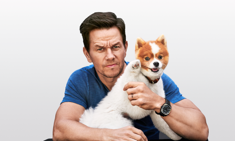 buddy wahlberg