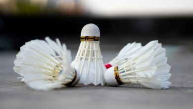 shuttlecock